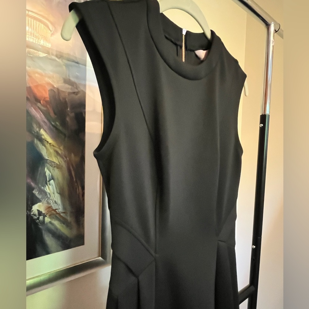 Ted Baker Skater Dress with Side Pleats (NWT)
